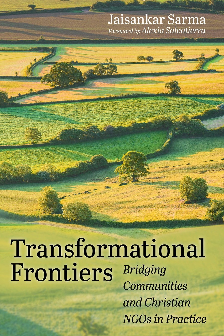 Cover of Transformational Frontiers by Jaisankar Sarma